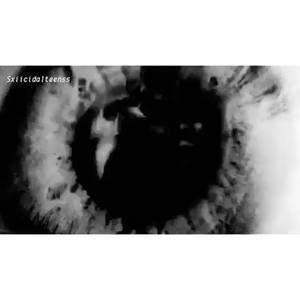 Meet your Posher, Dalton